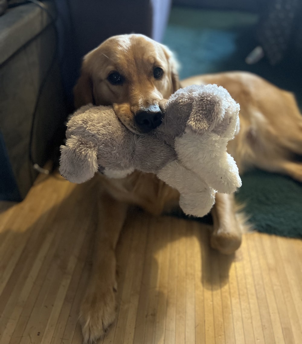Thelma avec sa peluche